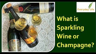What is Sparkling Wine or Champagne ?? |  स्पार्कलिंग वाइन और शैम्पेन | Everyday Life #42