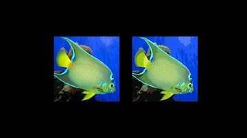 Self-Organizing Maps for Color Quantization (python)