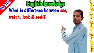 What is difference between see, watch, look and seek?