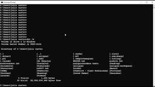 Linea de Comandos de Windows: órdenes cls, date, time, ver, vol