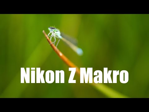 Kurzer Test Nikon