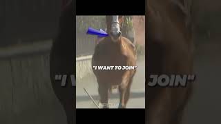 Unexpected Guestb xyzbca cycling funny