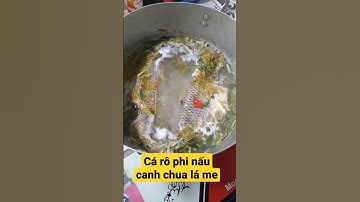 Cá rô phi nấu canh chua lá me món ăn đơn giản miền tây/ 2023