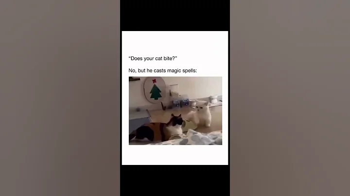 Does your #cat bite? No but he casts magic spells. #shorts