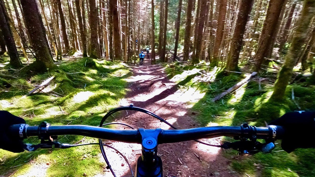 The Best Snowshoe Backcountry Route Mountain Biking Snowshoe WV