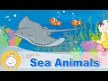 Learn Sea Animals - Under the Sea | Sea Animals For Kids