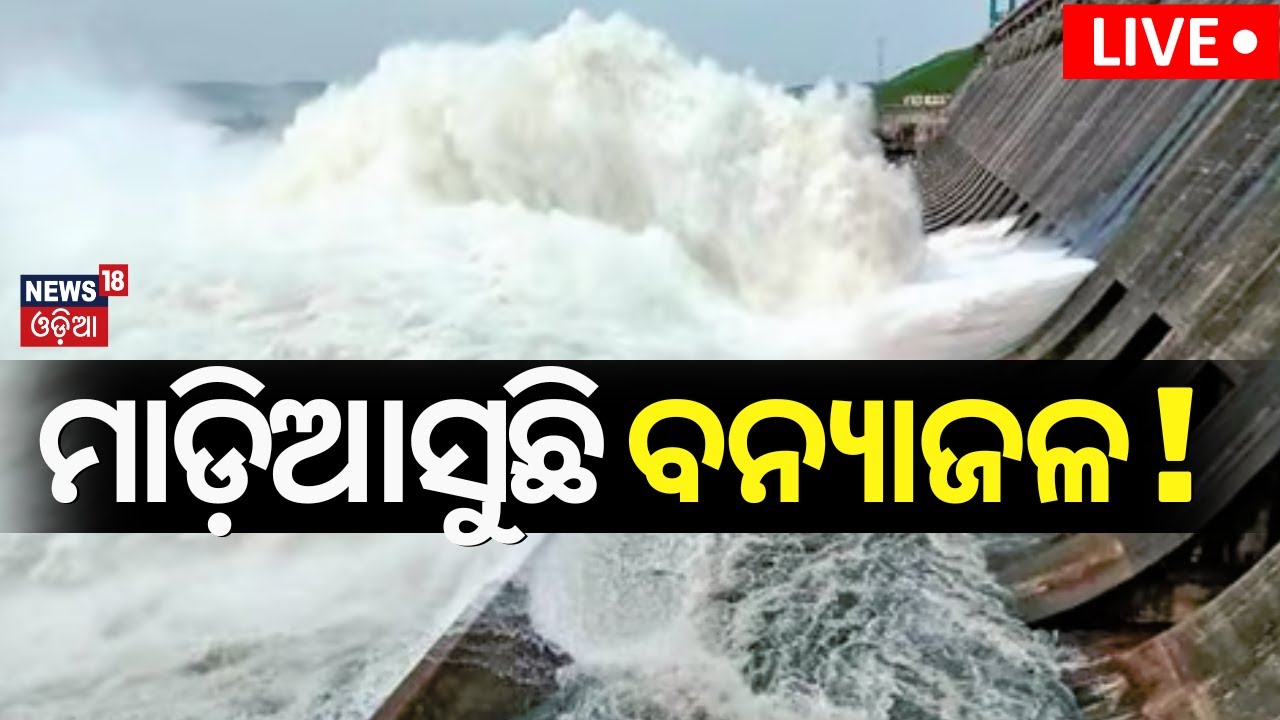 Live:ମୁଣ୍ଡୁଳିକୁ ଆସିବ ବନ୍ୟାଜଳ|First Flood Water Will Reach At Munduli |Hirakud Gate Opened |Odia News