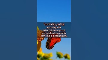قرآن الكريم سورة آل عمران الآية 50The Holy Quran, Surah Al Imran, Verse 50 #قران_كريم #انقذوا_غزة