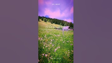 القرآن الكريم _ سورة غافر _ علي جابر