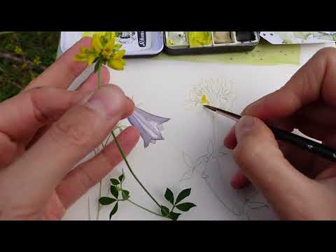 Introduction to Botanical Sketching – new online class out now – Julia ...