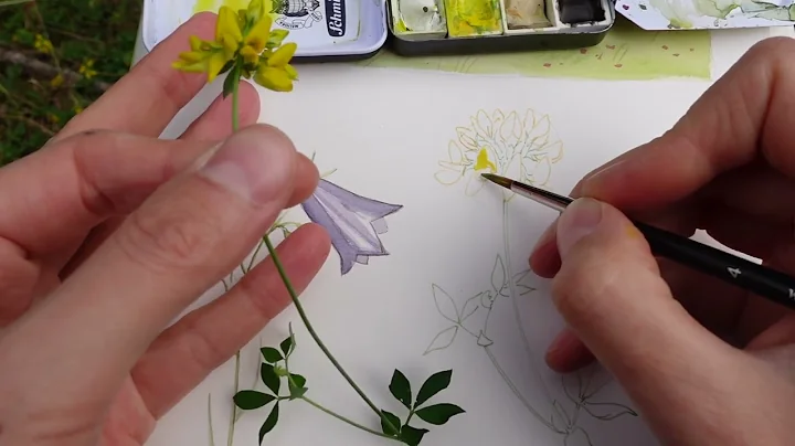 Wildflowers in Watercolor and Ink - A field trip a...