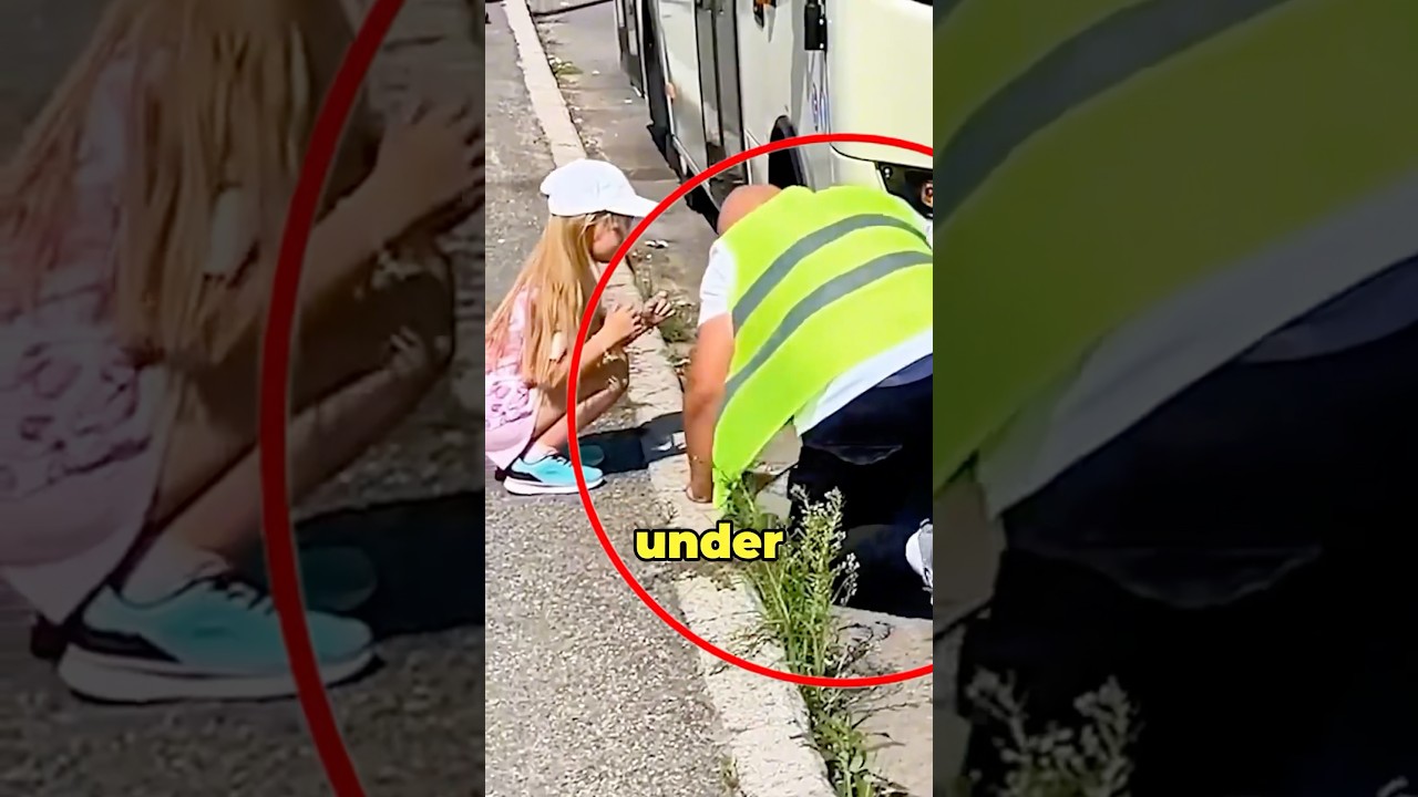 Animal Trapped Under Bus