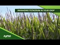 Managing Potassium (From Ag PhD Show #1119 - Air Date 9-15-19)