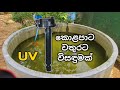 GREEN pond water | UV sterilizer | කොළපාට වතුරට විසඳුම