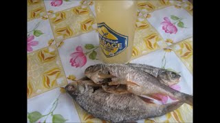 Вяленая рыба в электросушилке – изысканный деликатес в домашних условиях