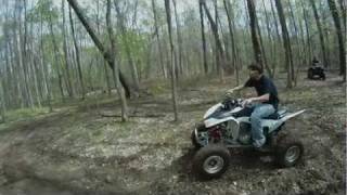 Doroycrew Josh Vs Tree