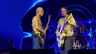 Red Hot Chili Peppers  Californication  4k