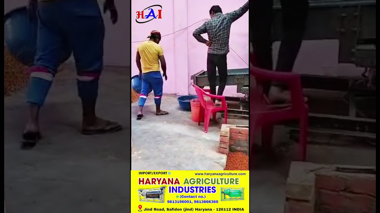 Automatic Chana Roaster Machine | High Capacity Roasting Equipment Demo