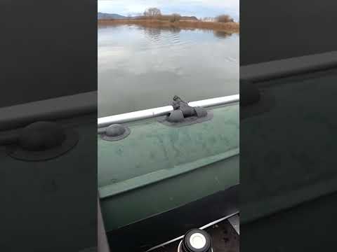 Вот это рыба клюнула! #fishing #рыбалка #tiktok #щука #pike #shorts