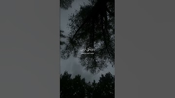 part 12 | سورة الفرقان الایة {26-29} القارئ محمد اللحیدان #محمد_اللحيدان #قرآن #قران_كريم