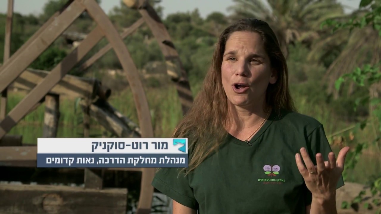 נאות קדומים