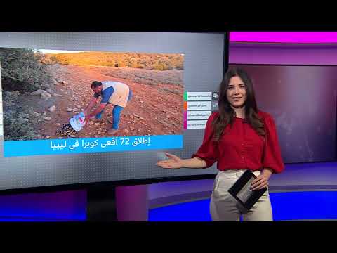 ذعر في وادي الناقة الليبي بعد إطلاق أفاعي الكوبرا