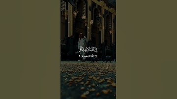 الشيخ محمد صديق المنشاوي  .. سورة لقمان