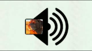 cooked sound meme dog