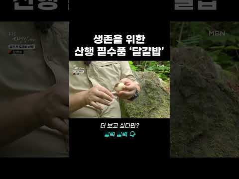 생존을 위한 <strong>산행</strong> 필수템 &amp;#39;달걀밥&amp;#39; #shorts   | 나는 자연인이다 563회