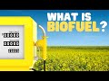 What Is Biofuel? | Biomass and biofuels for kids