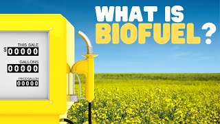 What Is Biofuel? | Biomass and biofuels for kids