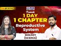 Cuet  reproductive system  1 day 1 chapter  cuet biology  by amrita maam