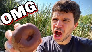 DELICIOUS Day! Salt Lick BBQ + Round Rock Donuts