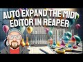 Auto expand the midi editor in reaper