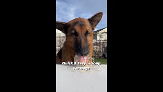 Dog ASMR I German Shepherd Drinking Homemade Chicken Soup by Meet the Chows 754 views 4 months ago 1 minute, 38 seconds