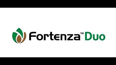 Results of FORTENZA™Duo on Fall Armyworm in Zambia