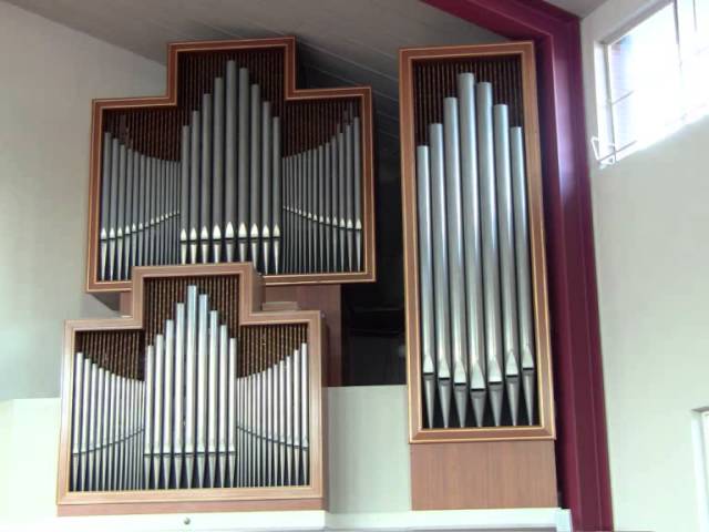 Guarda Bach - Prel. & Fugue in A major BWV 536 (normal & fast) - Gerard van Reenen su YouTube