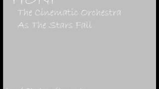 The Cinematic Orchestra - As The Stars Fall.wmv