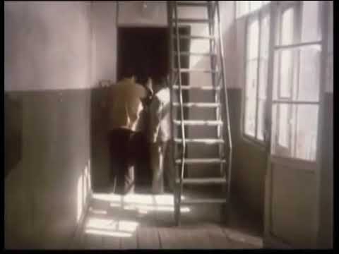 გივი ჩვენ ვართ გივი