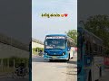 રંગીલું સંતરોડ 💖 #viral #love #dailyvideo #dahodnews #dailyvideoblog #dahodlive #dailyvlog