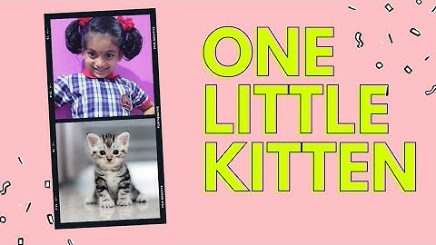 One little kitten - Marigold unit 3 | CBSE | NCERT | Class 1 | English