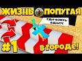 ЖИЗНЬ ПОПУГАЯ В БОЛЬШОМ ГОРОДЕ В МАЙНКРАФТЕ! МЕНЯ ВСЕ НЕНАВИДЯТ! #1