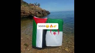 اذا حدا تعدى على فلسطين  الجزائر درة فعلها؟