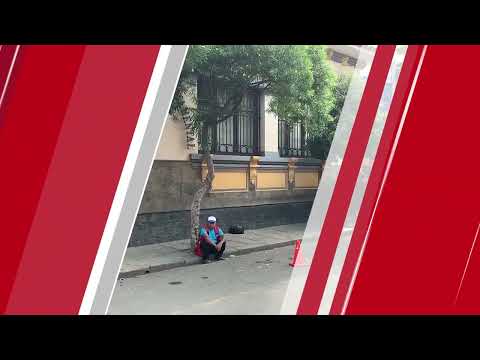 TITULARES GLOBAL TARIJA lunes 16 de marzo de 2026