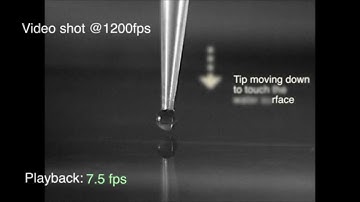 High speed video of drop coalescence (pipette)