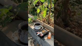 Status Wa Ngopi Sore.