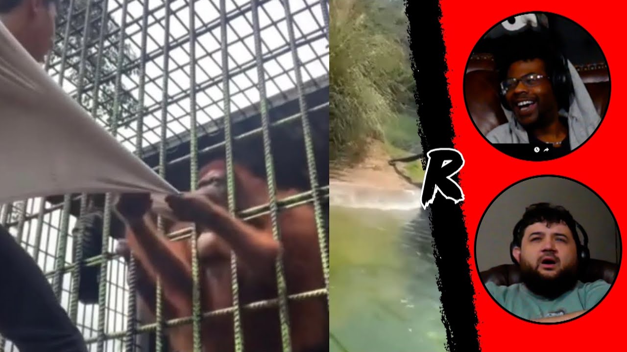 When Stupidity Goes Viral (with a wholesome twist) - @mndiaye_97 | RENEGADES REACT w/@dsworld5891