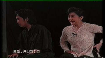 TRÍCH ĐOẠN GIŨ ÁO BỤI ĐỜI.   Vũ Linhft.  Thanh Thanh Tâm