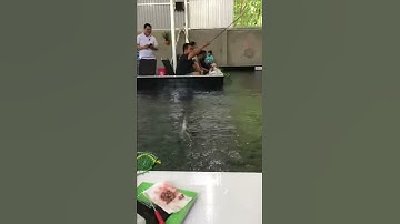 CÁCH CÂU TÔM HIỆU QUẢ NHẤT ! Câu Tôm ở Bình Dương