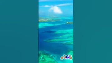 سورة الأنبياء و؛.كا.نك تسمعها لأ،؛و.ل مر.ة🌸🌻❤️🧡💟💐🏵️بصوت الشيخ حمزة مد؛بو.ح 🌼💗💝💛💐💚💛🍃